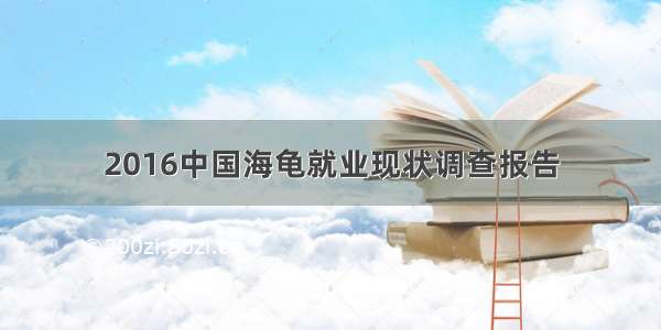 2016中国海龟就业现状调查报告