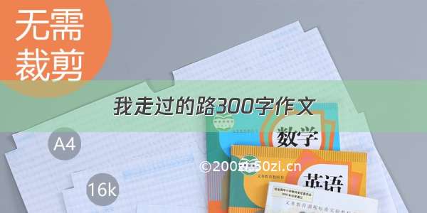 我走过的路300字作文