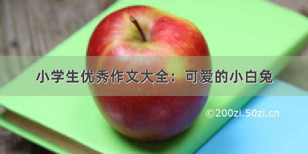 小学生优秀作文大全：可爱的小白兔