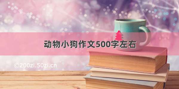 动物小狗作文500字左右