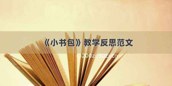 《小书包》教学反思范文