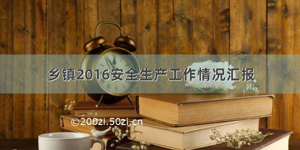 乡镇2016安全生产工作情况汇报