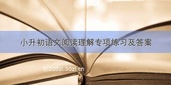 小升初语文阅读理解专项练习及答案