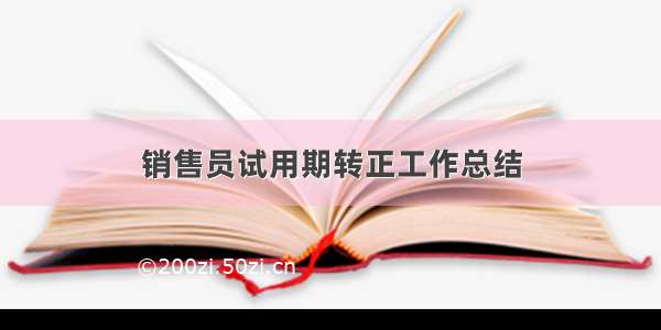 销售员试用期转正工作总结