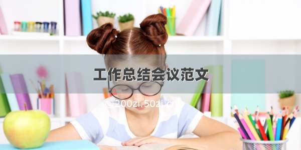 工作总结会议范文