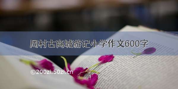 周村古商城游记小学作文600字