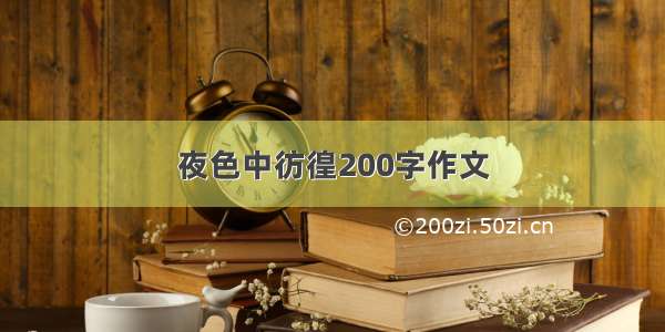 夜色中彷徨200字作文