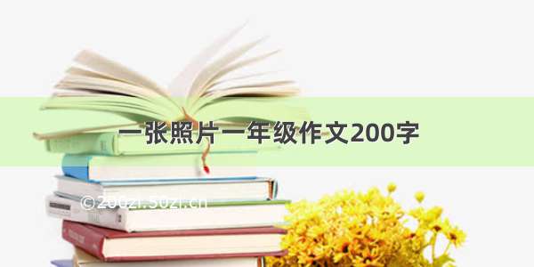 一张照片一年级作文200字