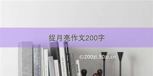 捉月亮作文200字