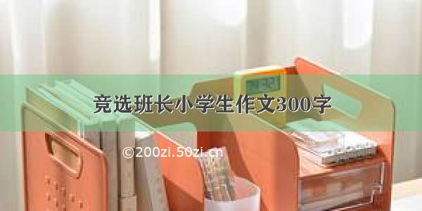 竞选班长小学生作文300字