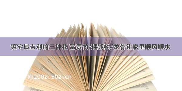 镇宅最吉利的三种花 富贵竹/摇钱树/龙骨让家里顺风顺水