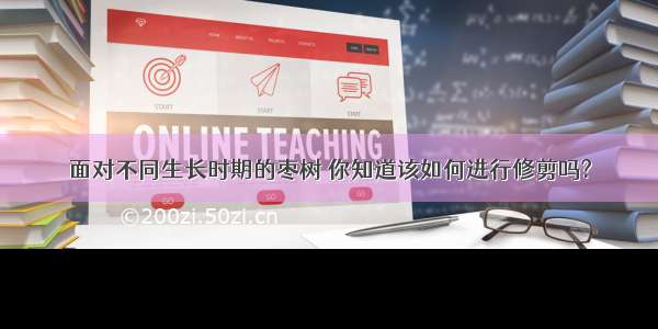 面对不同生长时期的枣树 你知道该如何进行修剪吗?