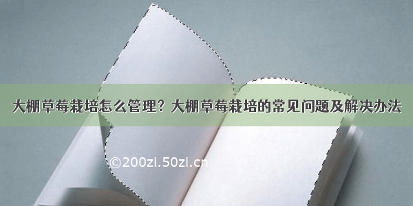 大棚草莓栽培怎么管理？大棚草莓栽培的常见问题及解决办法