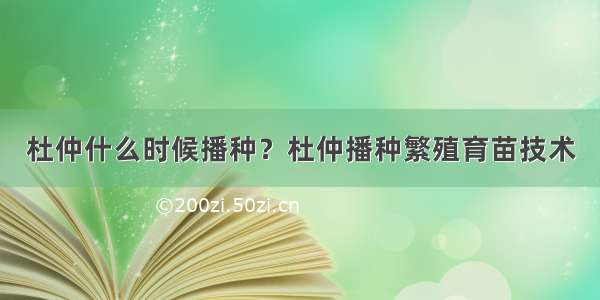 杜仲什么时候播种？杜仲播种繁殖育苗技术