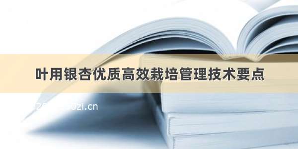 叶用银杏优质高效栽培管理技术要点