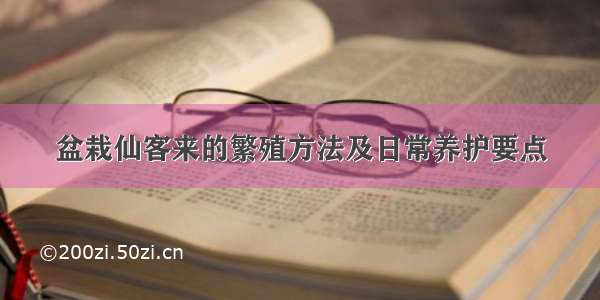 盆栽仙客来的繁殖方法及日常养护要点