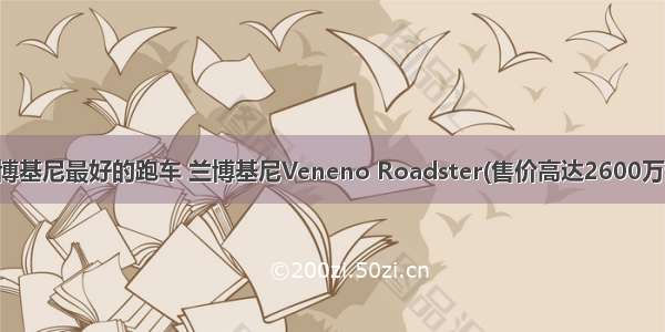 兰博基尼最好的跑车 兰博基尼Veneno Roadster(售价高达2600万元)