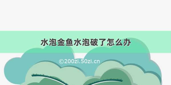 水泡金鱼水泡破了怎么办