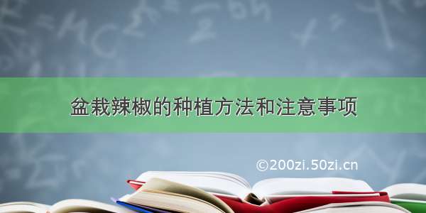 盆栽辣椒的种植方法和注意事项