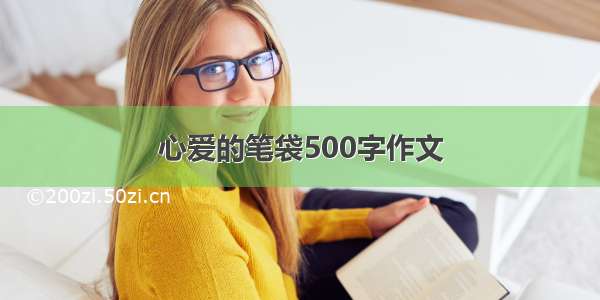 心爱的笔袋500字作文