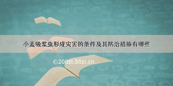 小麦吸浆虫形成灾害的条件及其防治措施有哪些