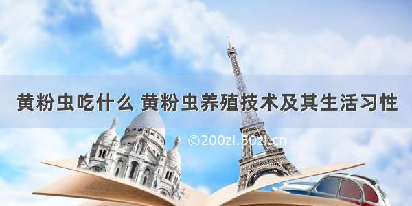 黄粉虫吃什么 黄粉虫养殖技术及其生活习性