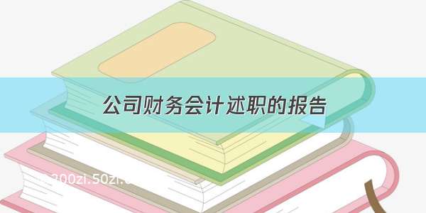 公司财务会计述职的报告