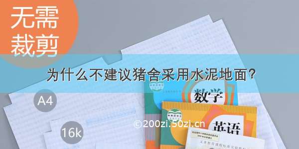 为什么不建议猪舍采用水泥地面？