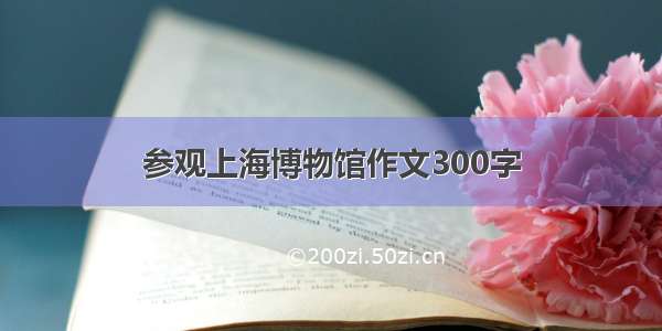 参观上海博物馆作文300字