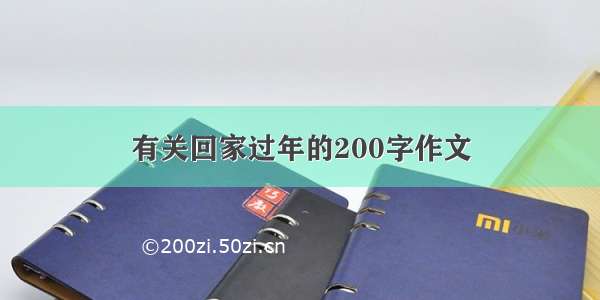 有关回家过年的200字作文