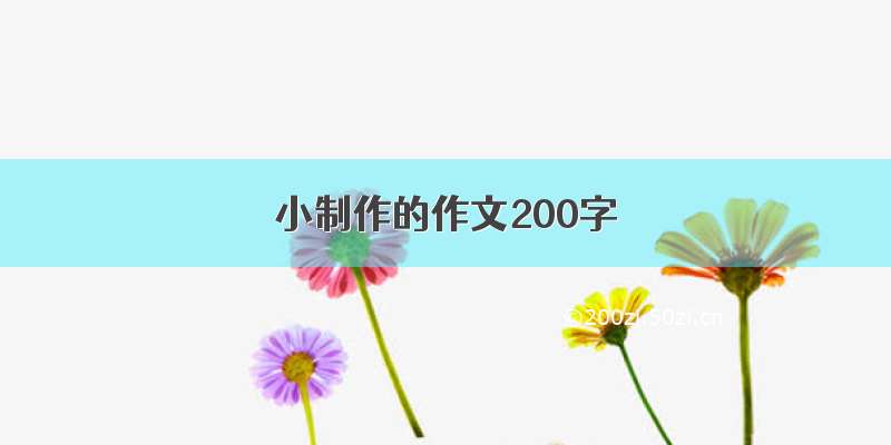 小制作的作文200字