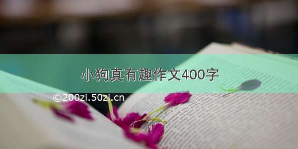 小狗真有趣作文400字