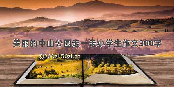 美丽的中山公园走一走小学生作文300字