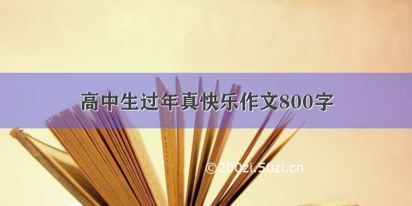 高中生过年真快乐作文800字