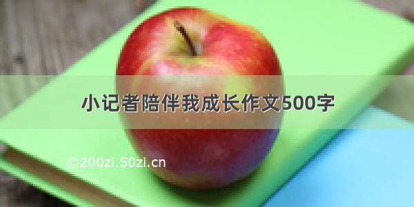 小记者陪伴我成长作文500字