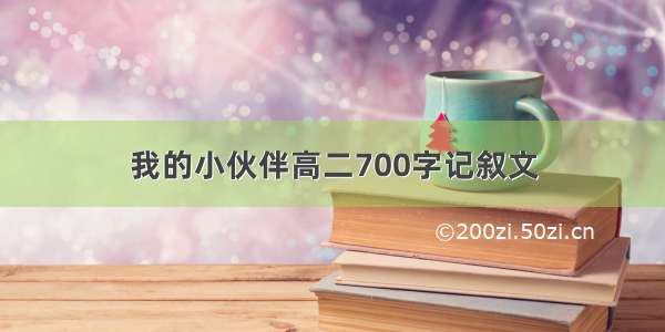 我的小伙伴高二700字记叙文