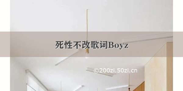 死性不改歌词Boyz