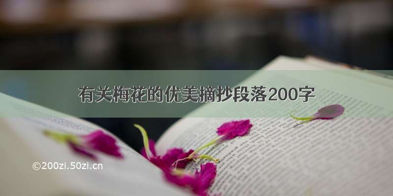 有关梅花的优美摘抄段落200字