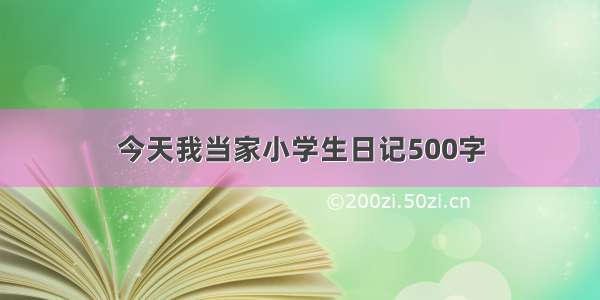 今天我当家小学生日记500字