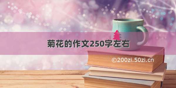 菊花的作文250字左右