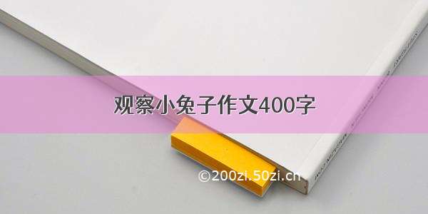 观察小兔子作文400字