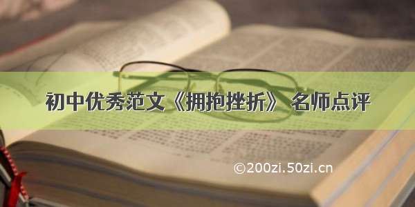 初中优秀范文《拥抱挫折》 名师点评