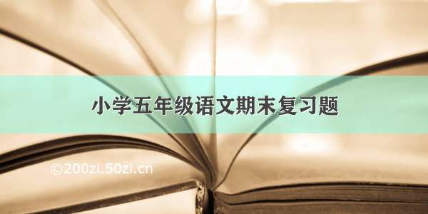 小学五年级语文期末复习题