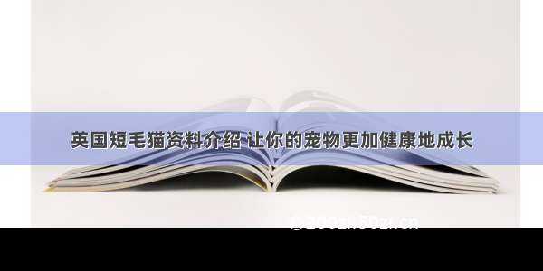 英国短毛猫资料介绍 让你的宠物更加健康地成长