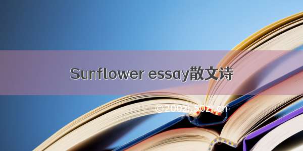 Sunflower essay散文诗