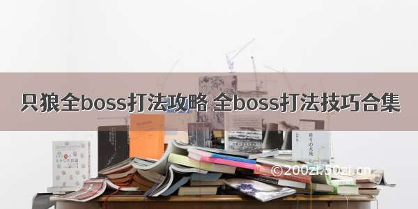 只狼全boss打法攻略 全boss打法技巧合集