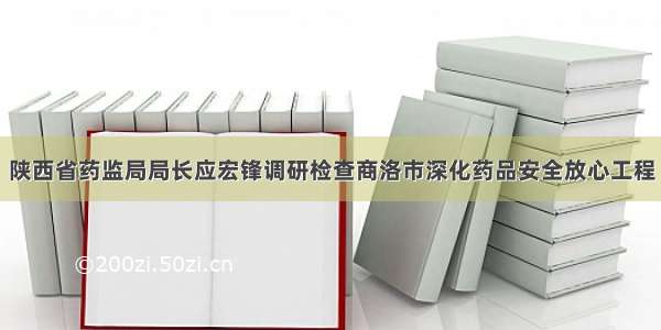 陕西省药监局局长应宏锋调研检查商洛市深化药品安全放心工程