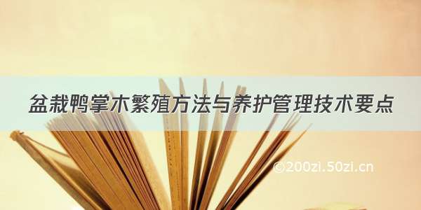 盆栽鸭掌木繁殖方法与养护管理技术要点