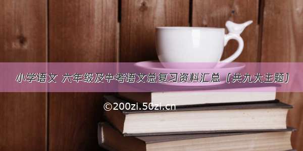 小学语文 六年级及中考语文总复习资料汇总（共九大主题）