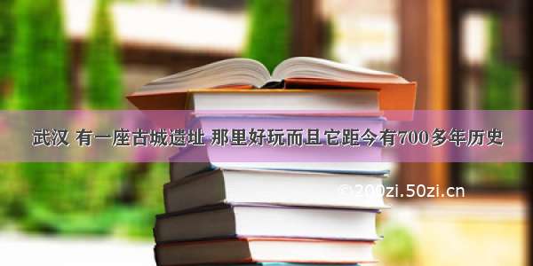 武汉 有一座古城遗址 那里好玩而且它距今有700多年历史